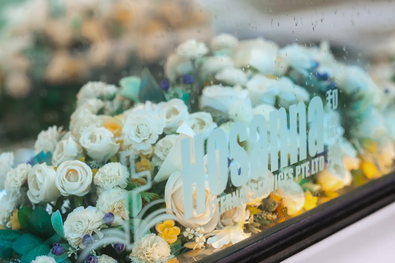 Hosanna Company Photos 021